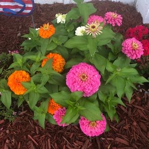 Meet your Posher, Debra